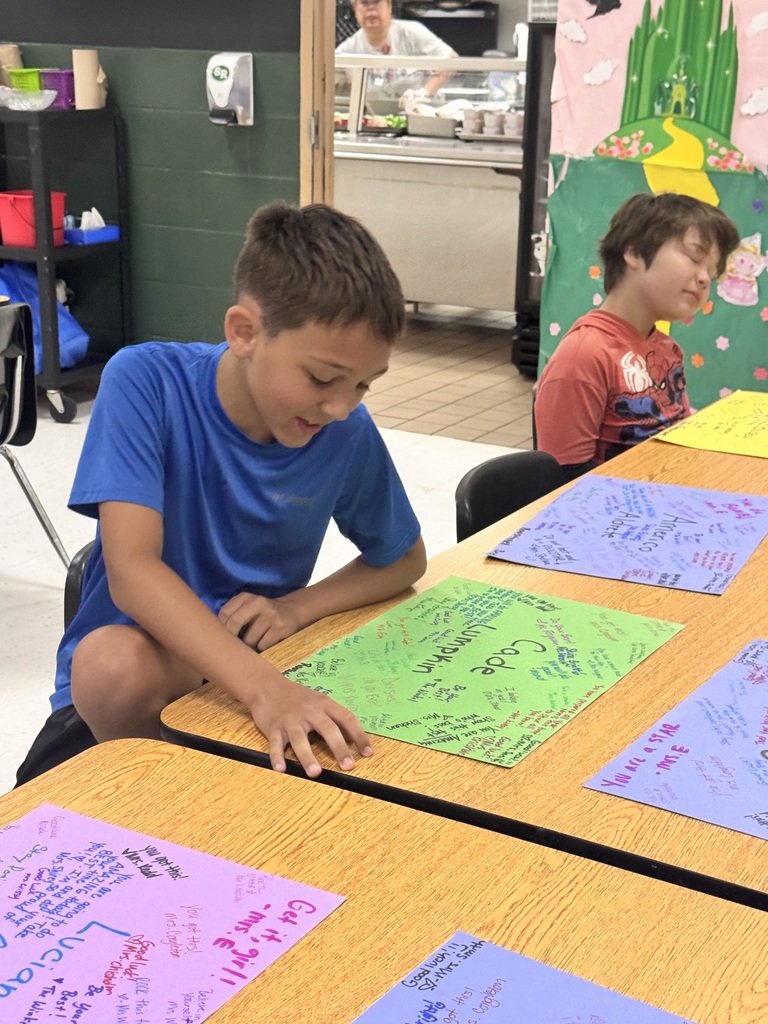 3rd Grade reading STAAR