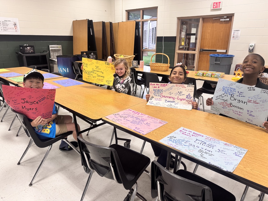 3rd Grade reading STAAR