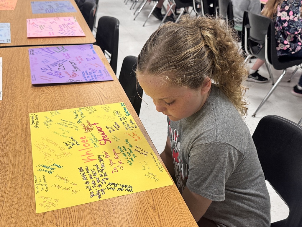 3rd Grade reading STAAR