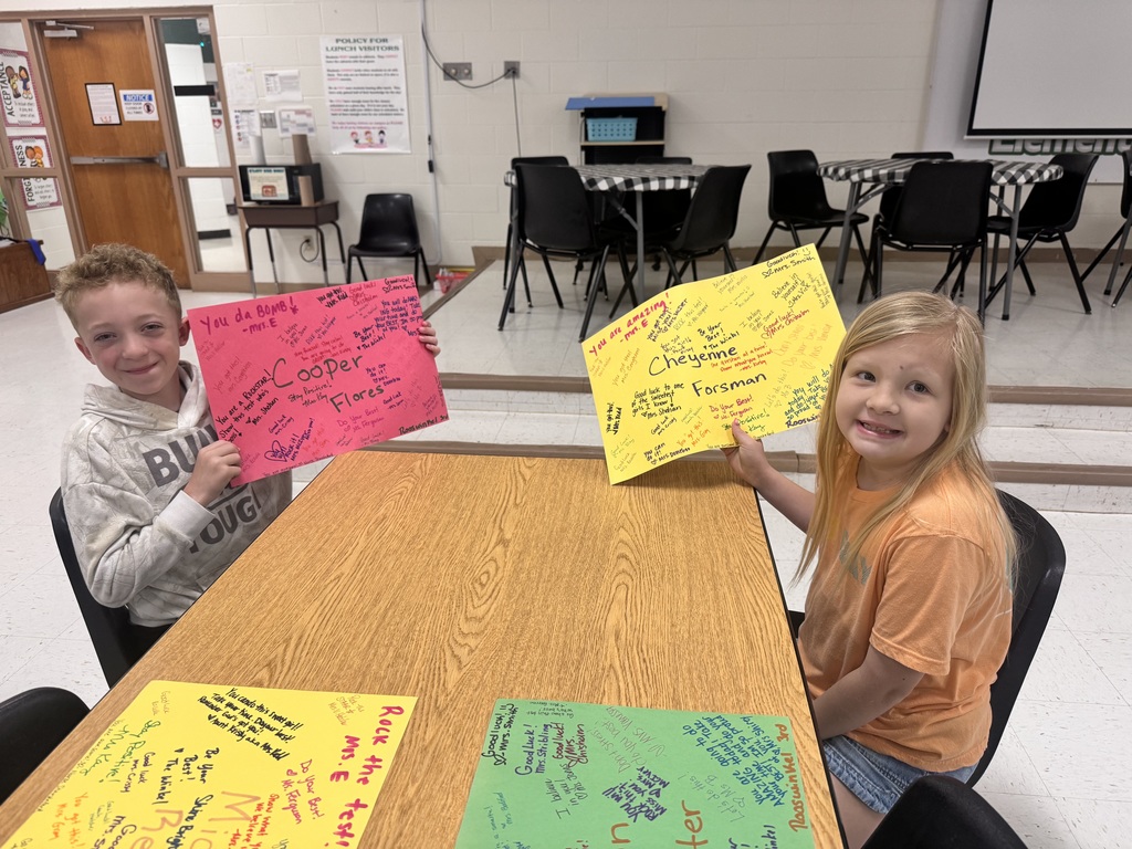 3rd Grade reading STAAR