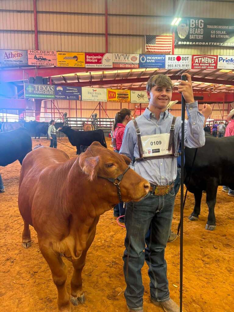 male student with his cow in the show ring