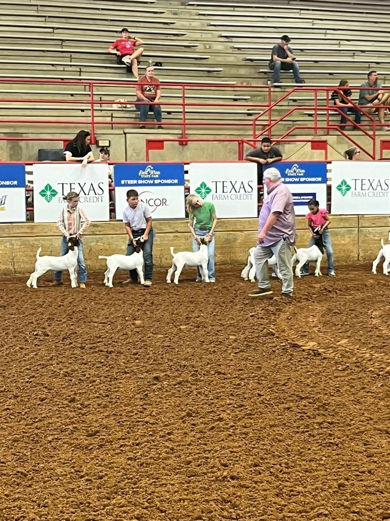 group of students posing their lambs