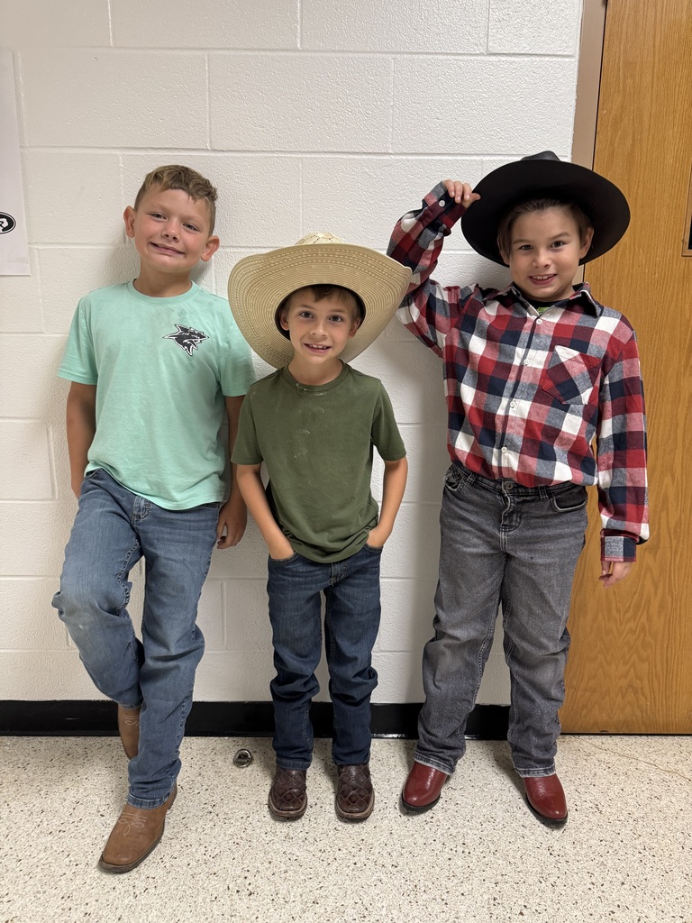SRES homecoming dress up days