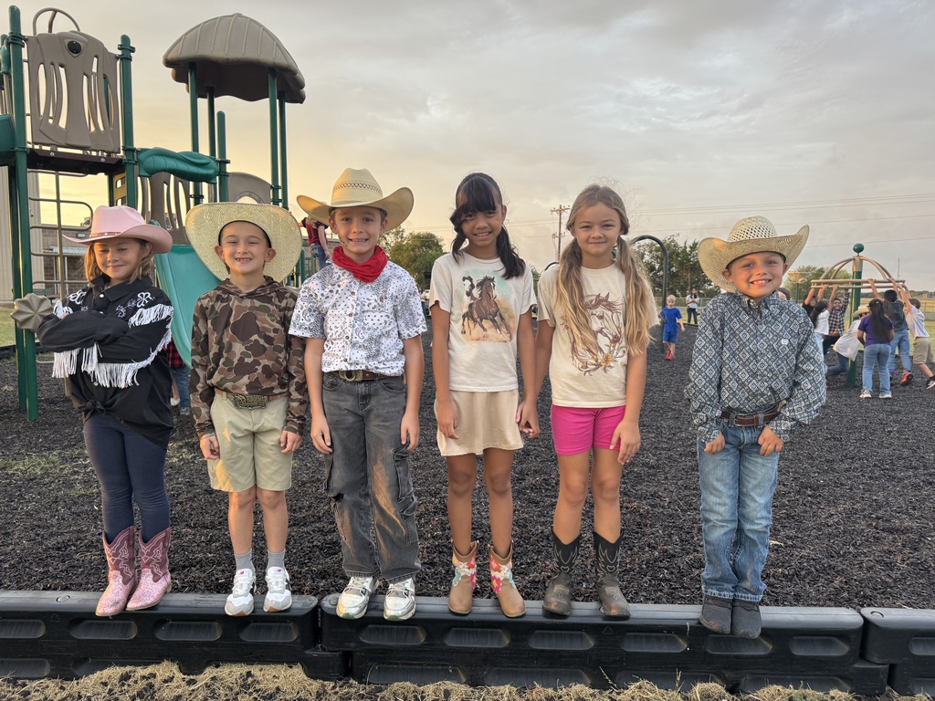 SRES homecoming dress up days