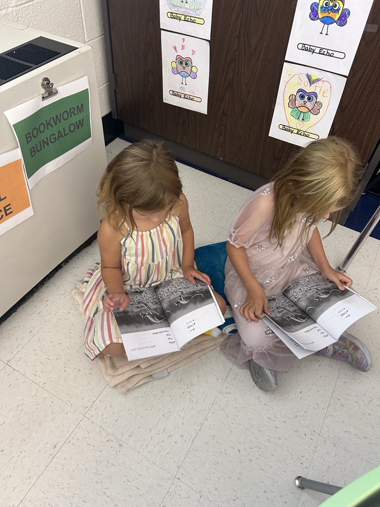 partner reading