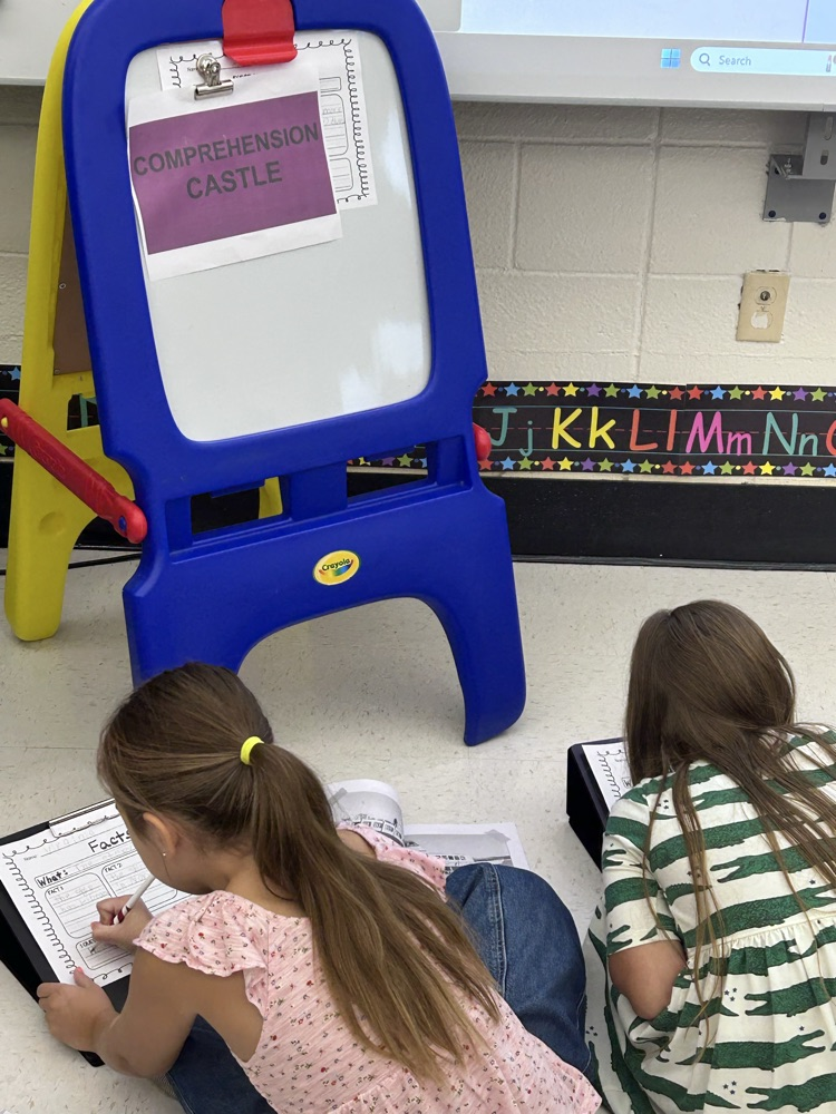 COMPREHENSION CASTLE