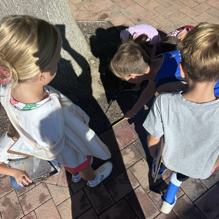 Third graders went to observe how seeds might move!
