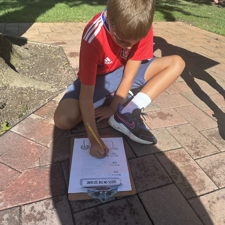 Third graders went to observe how seeds might move!