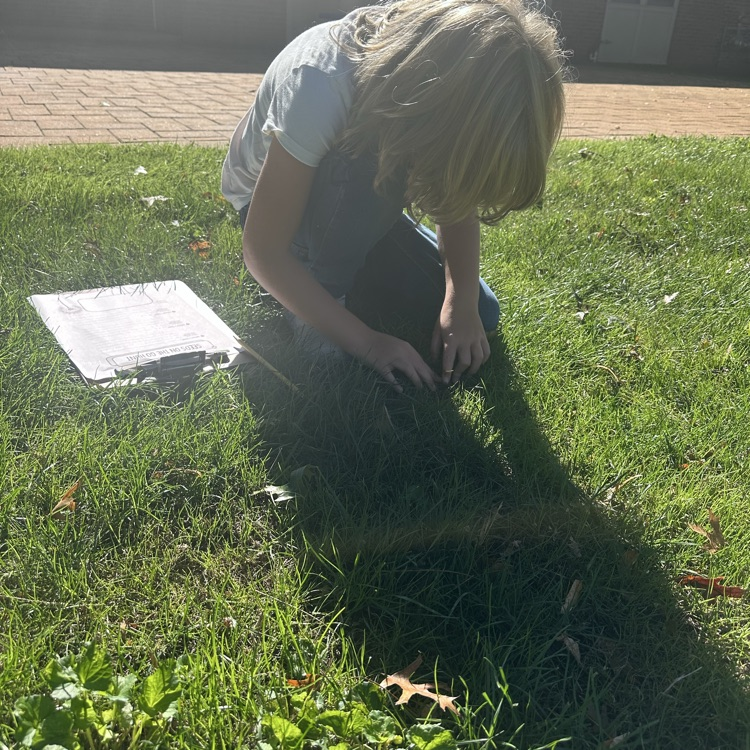 Third graders went to observe how seeds might move!