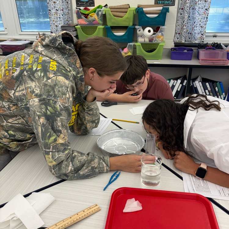 8th graders used the scientific method to develop an experiment that tested if Bounty paper towels really are the quicker picker upper!