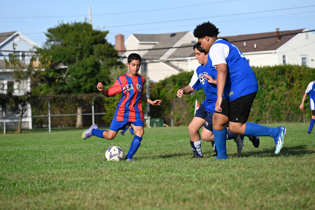 DSC_1366 (1)