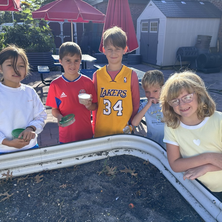 Third graders watched their miele worms turn into beetles!