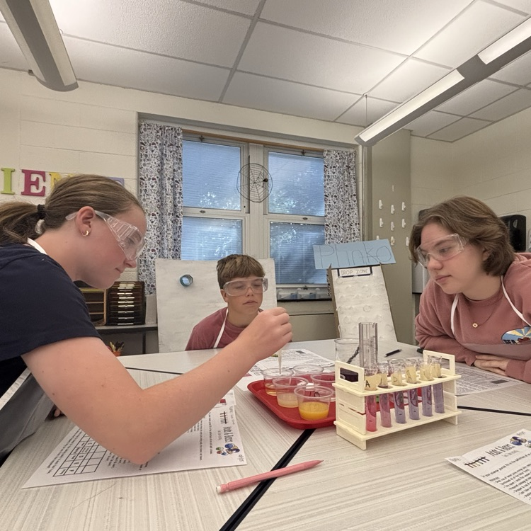 8th graders have had a busy couple of weeks in science. They tested how different compounds can affect the color of a flame, they did some “speed dating” to learn how different elements bond together, and they explored the pH of various substances. 🧪