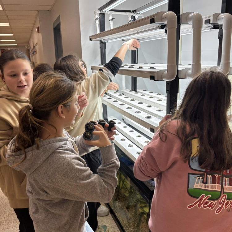 Planting lettuce! 🥬