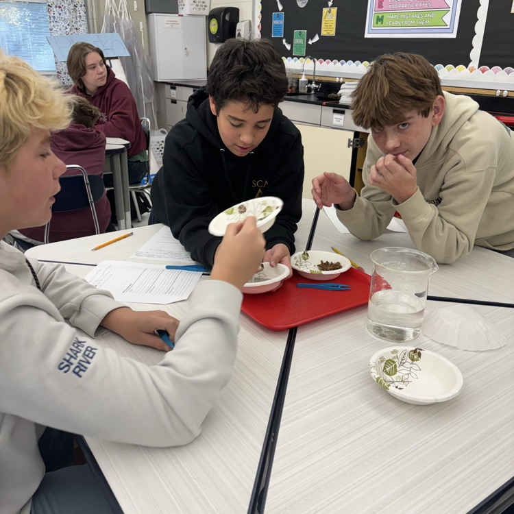 Today we used the scientific method to separate a mixture of wood chips, iron filings, sand, and sugar. It’s hard work thinking like a scientist!