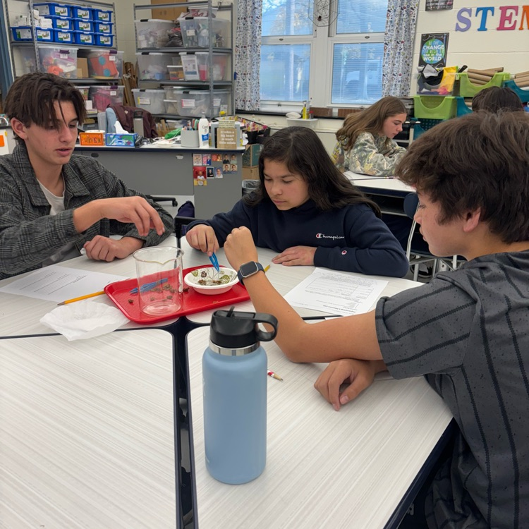 Today we used the scientific method to separate a mixture of wood chips, iron filings, sand, and sugar. It’s hard work thinking like a scientist!