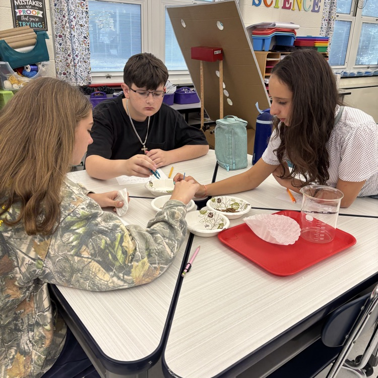 Today we used the scientific method to separate a mixture of wood chips, iron filings, sand, and sugar. It’s hard work thinking like a scientist!