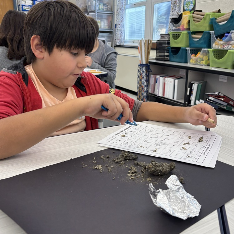 In fifth grade we are learning about interactions in ecosystems. Today we dissected owl pellets to learn about their eating habits. 🦉🐀