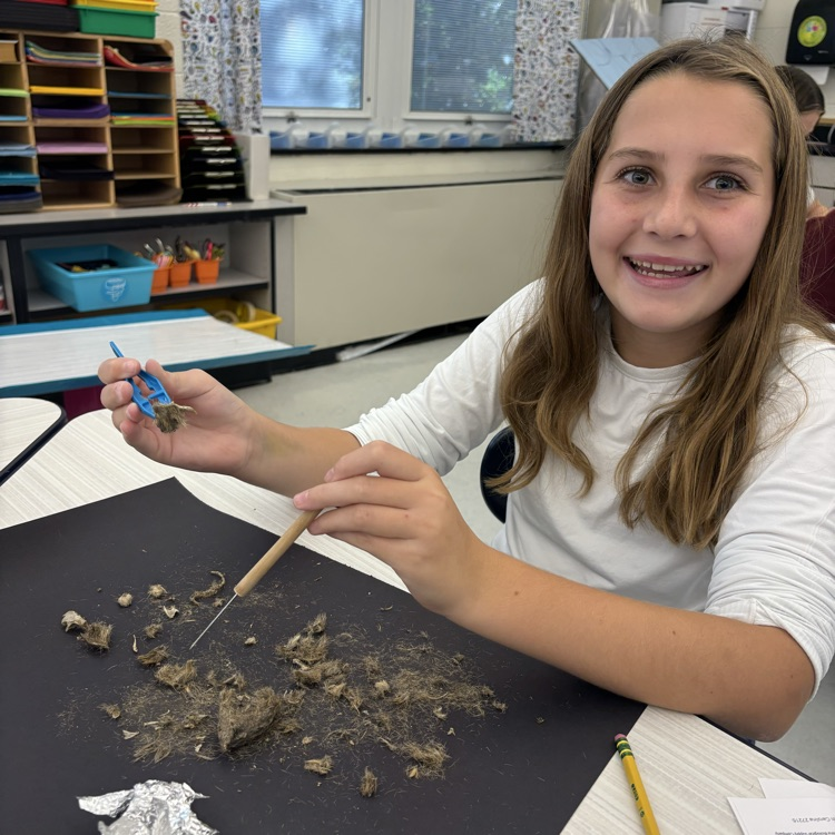 In fifth grade we are learning about interactions in ecosystems. Today we dissected owl pellets to learn about their eating habits. 🦉🐀