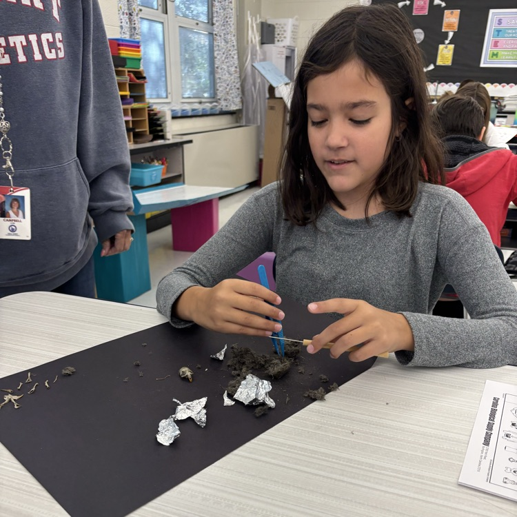In fifth grade we are learning about interactions in ecosystems. Today we dissected owl pellets to learn about their eating habits. 🦉🐀