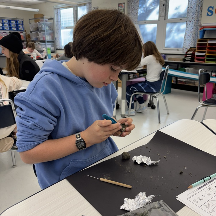 In fifth grade we are learning about interactions in ecosystems. Today we dissected owl pellets to learn about their eating habits. 🦉🐀