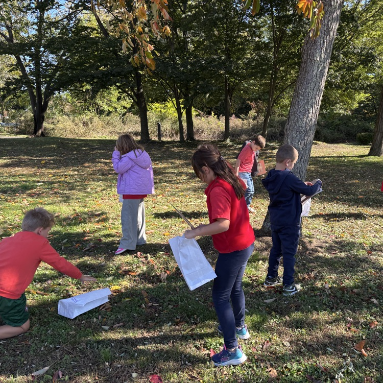 Exploring the fall foliage and making some beautiful art with leaves! 🍁#STEM