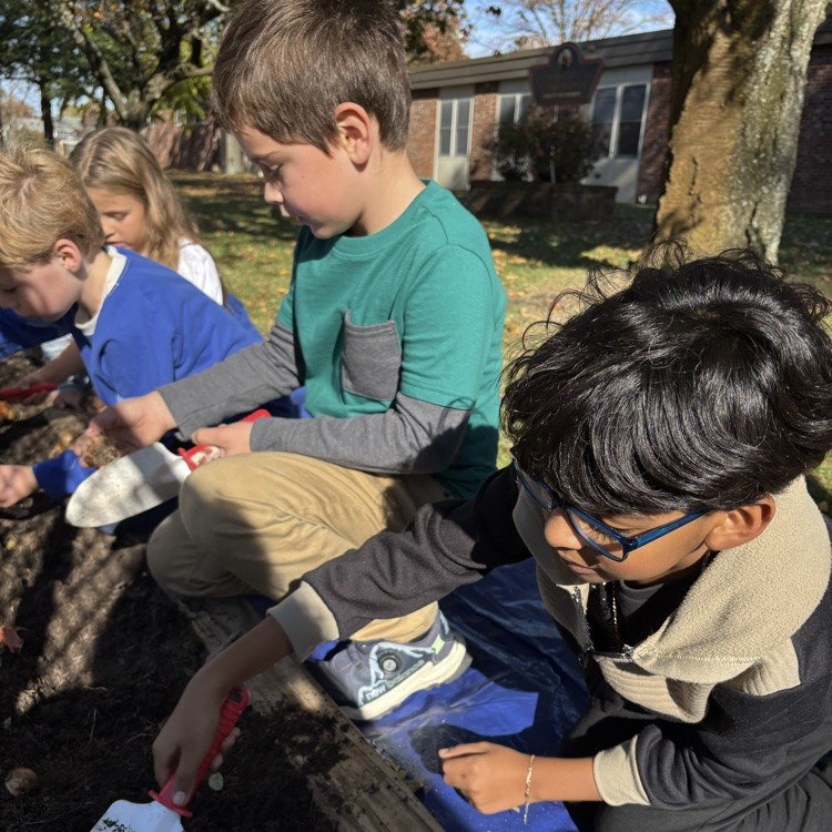 Today our second graders planted daffodil bulbs! We cannot wait to watch them grow this spring! 🌱 #stem