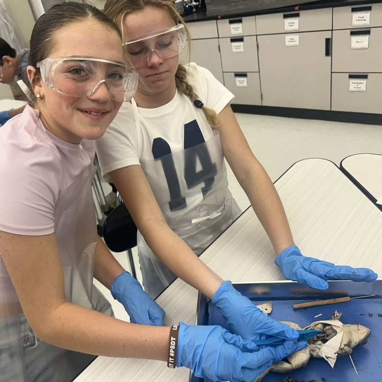 As a conclusion to our unit on body systems, 7th grade dissected frogs! It was fascinating to see! #lifescience #handsonlearning