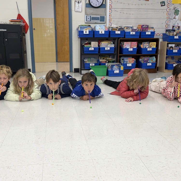 Third graders learned about force! How much force can we use to push a cotton ball as far as it can go?