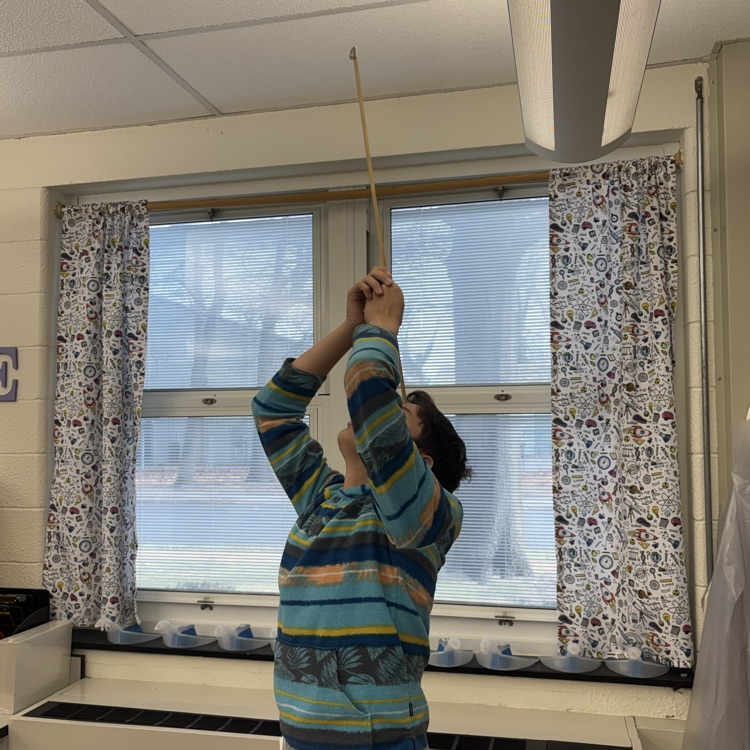 In 8th grade we have been playing around to help us learn more about Newton’s laws of motion 🏎️