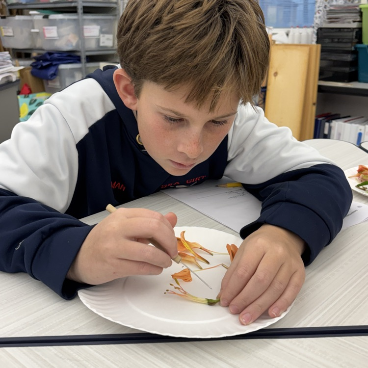 Do you know how we are able to have so many beautiful plants in our world? Ask a 7th grader…they can teach you all about plant reproduction! 🌺🐝