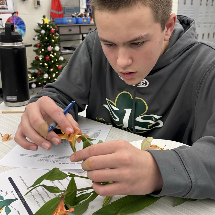 Do you know how we are able to have so many beautiful plants in our world? Ask a 7th grader…they can teach you all about plant reproduction! 🌺🐝