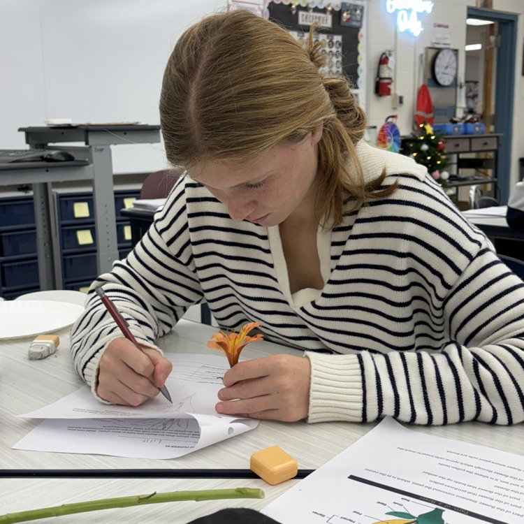 Do you know how we are able to have so many beautiful plants in our world? Ask a 7th grader…they can teach you all about plant reproduction! 🌺🐝