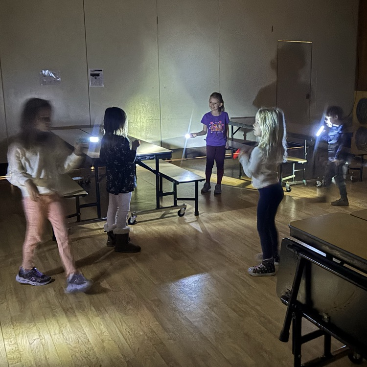 Can people see without light? First graders played with light to see how much we need to see the world around us. 💡
