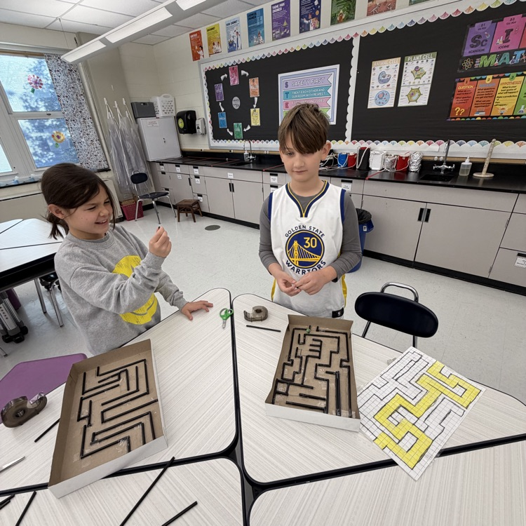 Third graders made marble mazes. Who can get the marble from the start to the finish line?