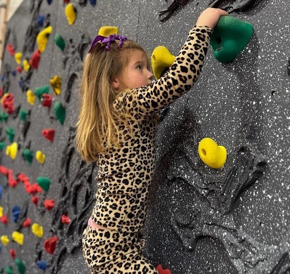 Screenshot 2026-03-02 105027