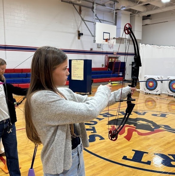 Screenshot 2026-03-03 113611