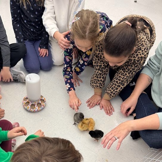 Screenshot 2026-03-13 100622