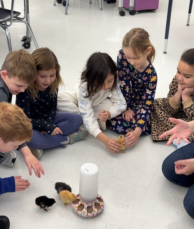 Screenshot 2026-03-13 100541