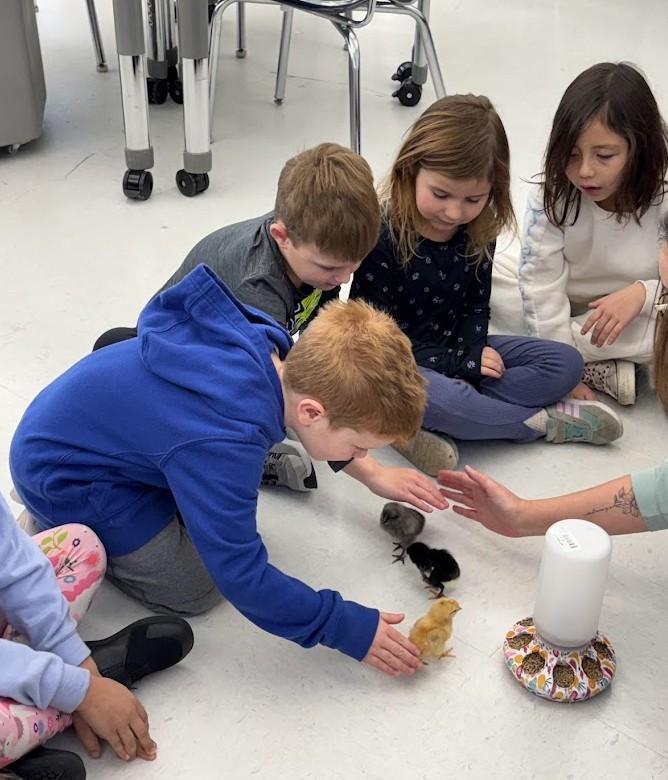 Screenshot 2026-03-13 100600