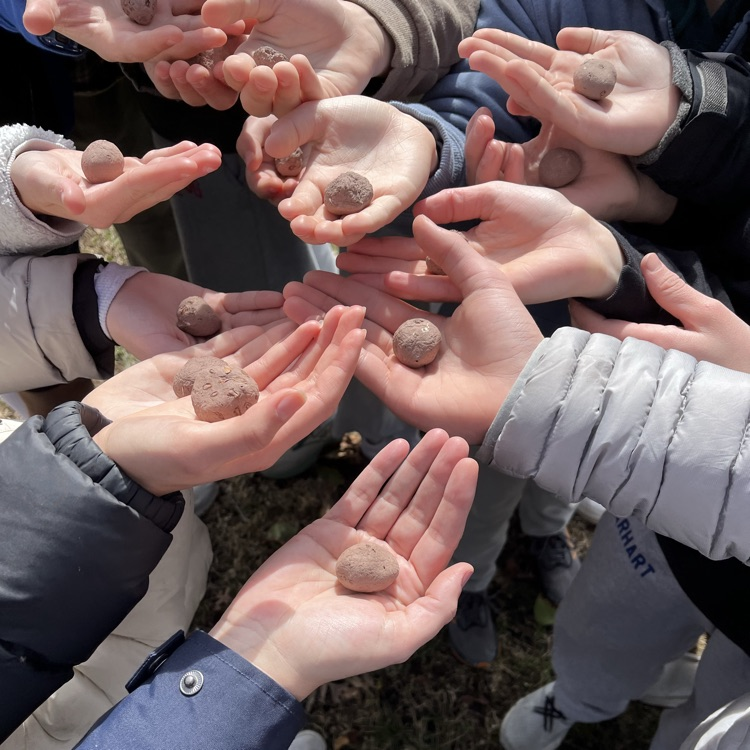 Our 7th grade science class has been studying ecosystems and biodiversity. Working together with the Sea Girt Conservancy, our students made milkweed seed bombs and dispersed them in Edgemere Park to help attract pollinators to the park. 