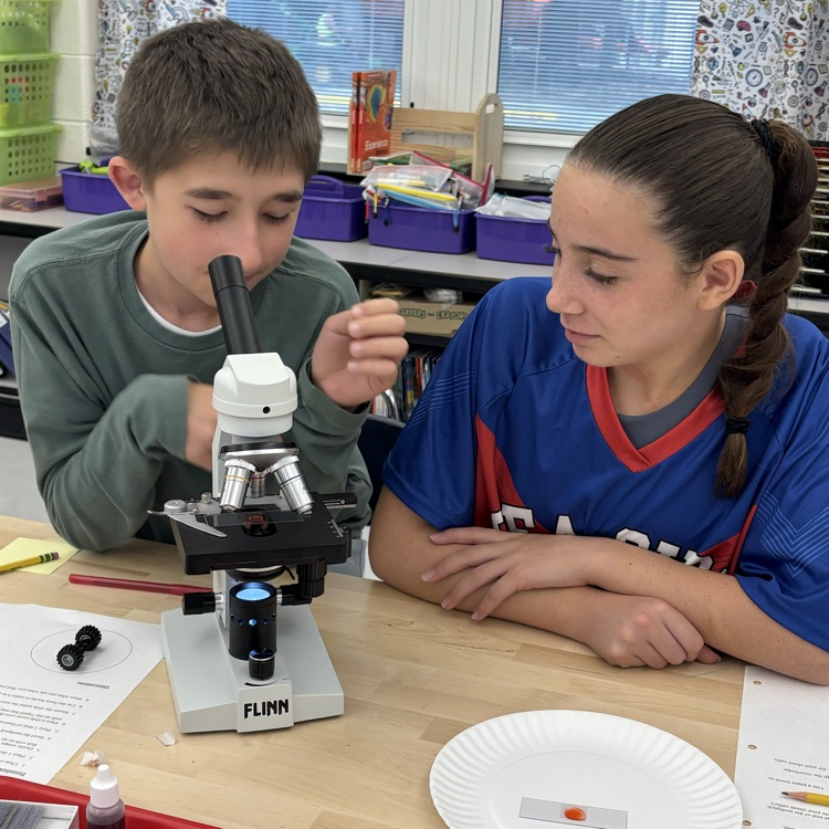 Today’s study in microscopy had the 7th graders checking out their own cells! What do you think YOUR cells look like? 