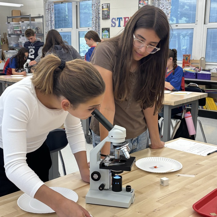 Today’s study in microscopy had the 7th graders checking out their own cells! What do you think YOUR cells look like? 