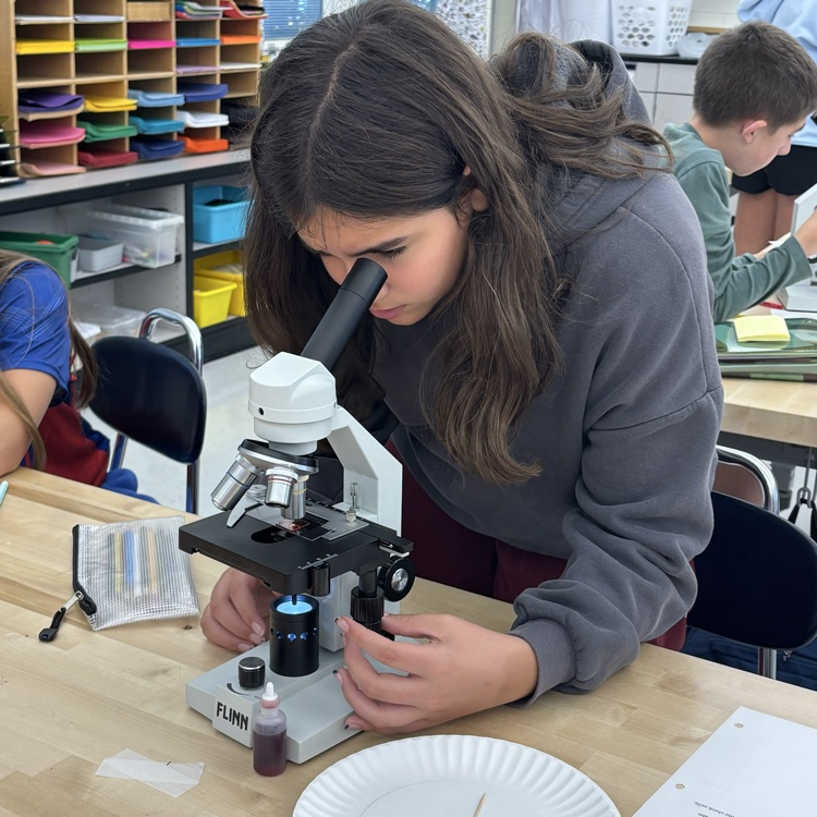 Today’s study in microscopy had the 7th graders checking out their own cells! What do you think YOUR cells look like? 