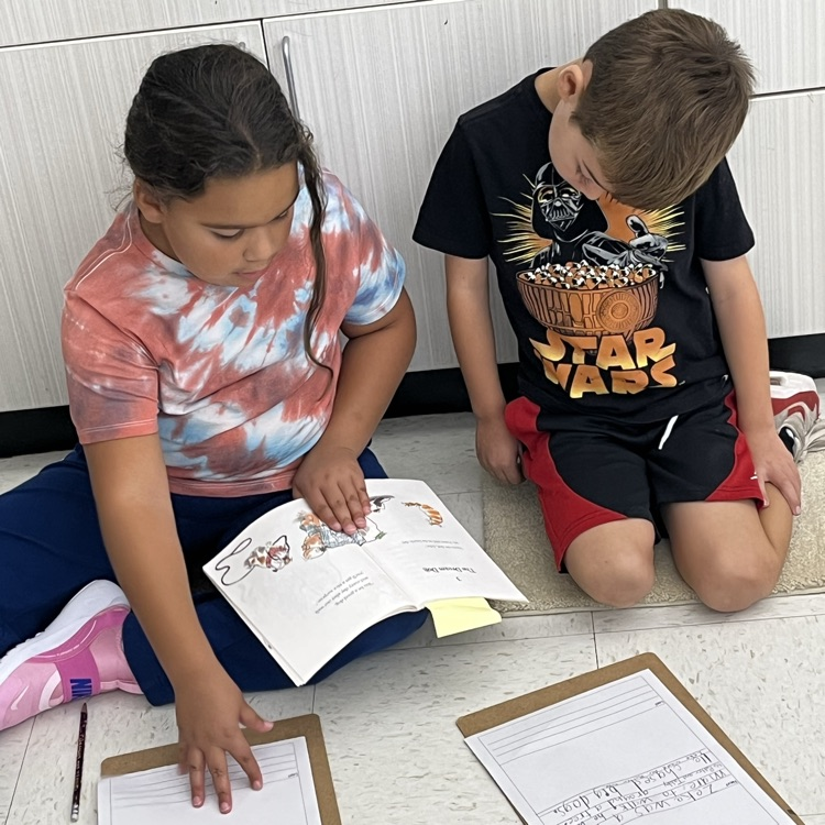 buddy reading