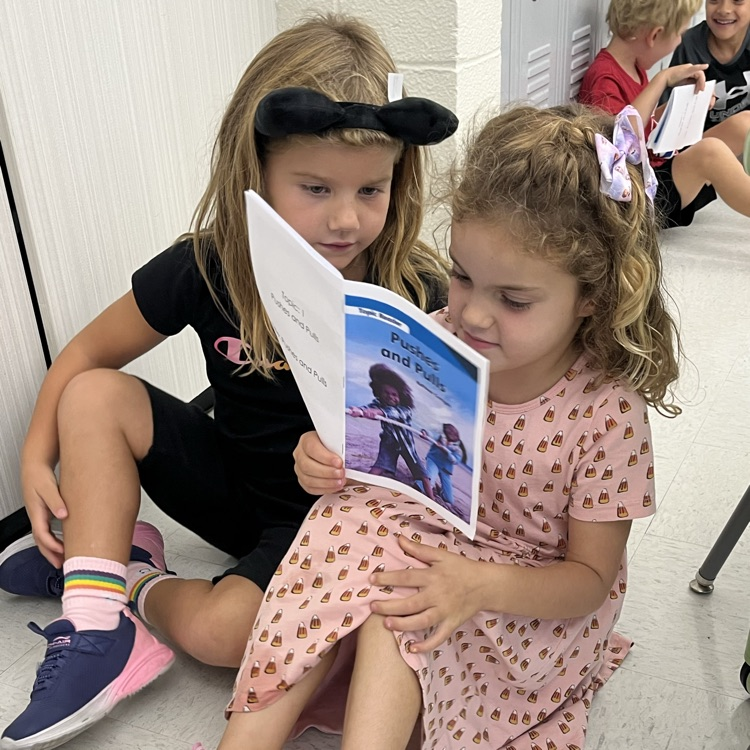 buddy reading in science