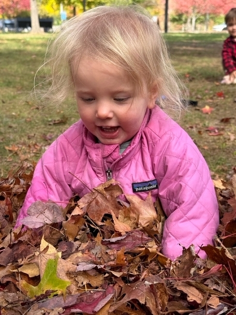 Fall 