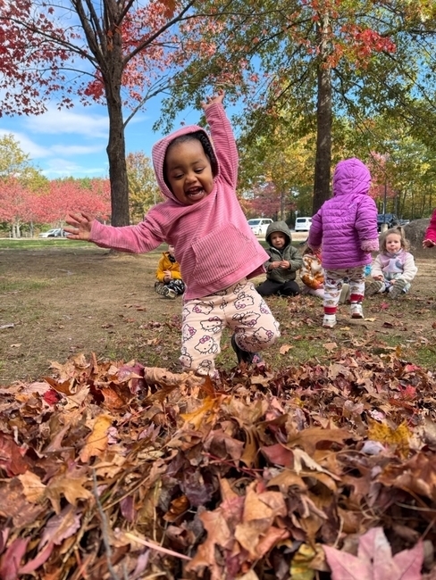 Fall