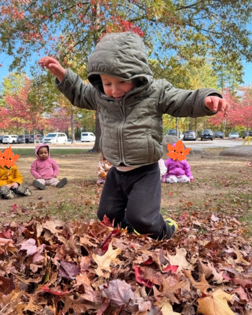 Fall