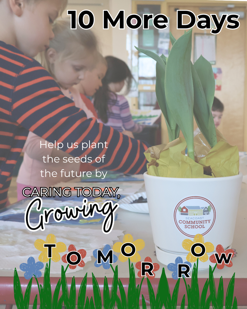 10 more days till day of giving